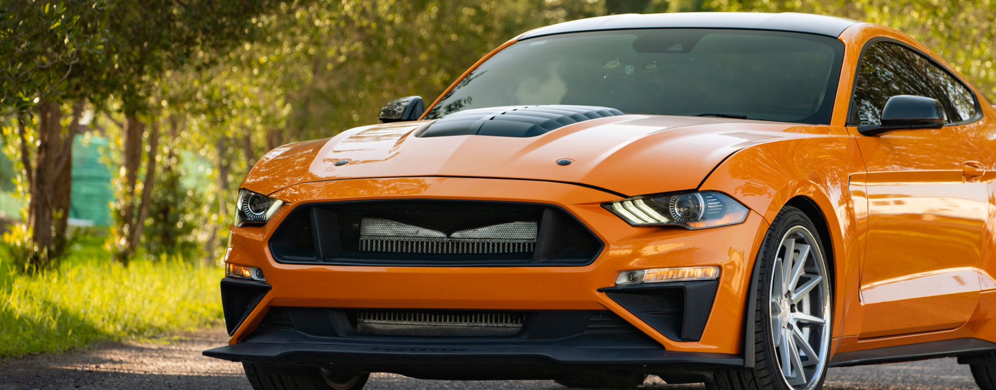 INSULFILM™Eclipse.